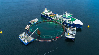Aquaculture 4.0 - The Impact of Industry 4.0 on Aquaculture