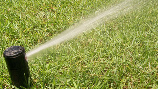 Irrigation 101: All About Sprinkler Heads
