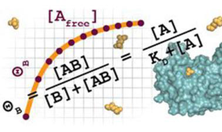 Quantitative Biology Workshop