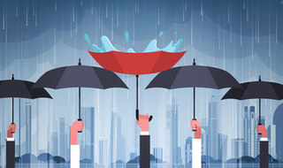 Pratiques de Gestion Optimale des Eaux Pluviales