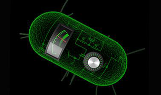 Principles of Synthetic Biology