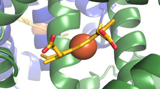 Principles of Biochemistry