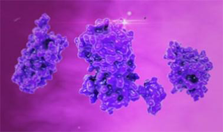 Proteins: Alignment, Analysis and Structure