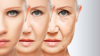 Platelet Rich Plasma in Ovarian and Uterine Rejuvenation