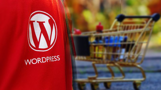 5 simple steps to make your own  Wordpress Woocommerce Store