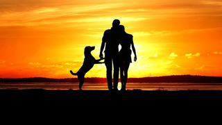 7 Keys To Great Relationships