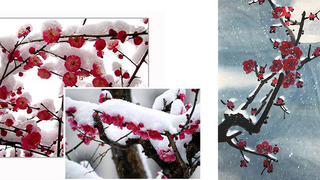 Plum and Snow picture in classical Chinese Painting style